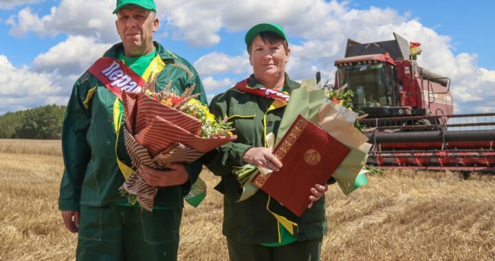У семейного экипажа Кухта уже три тысячи тонн намолоченного зерна