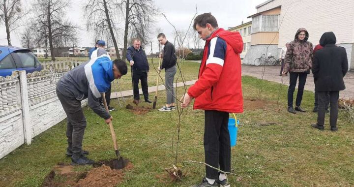 Дмитровичская школа присоединилась к экологической акции