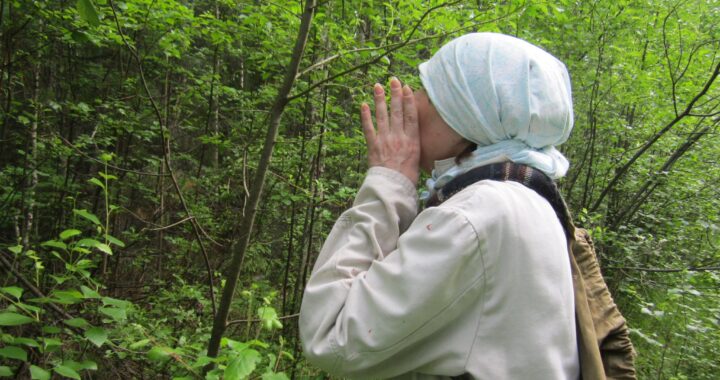 В Каменецком районе женщина заблудилась в лесу: на помощь пришли спасатели