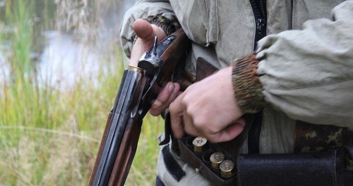 Охотник в Каменецком районе незаконно подстрелил косулю
