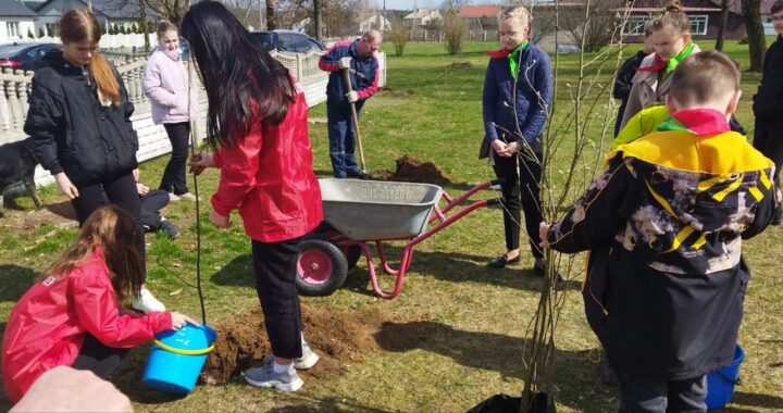 Школьники из Дмитрович поддержали экологическую акцию «Посади дерево»