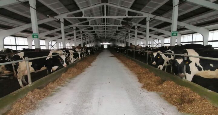 В текущем году в районе планируется реализация (начало реализации) более 13 инвестиционных проектов в различных отраслях экономики