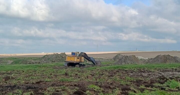 Дунькович: «В «Беловежском» не только деньги, но и гектары счет любят»