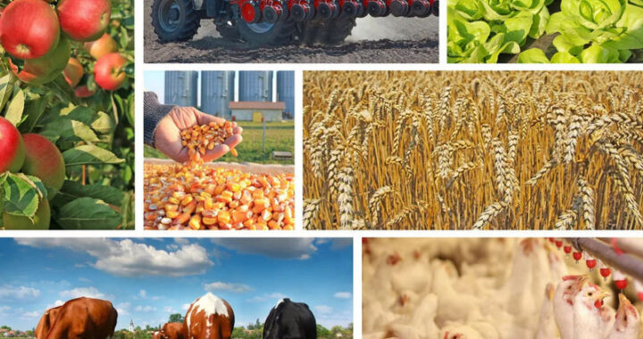 По итогам января объем выпуска продукции в организациях всех категорий составил 1 843,3 млн. руб., темп роста 103,3% 