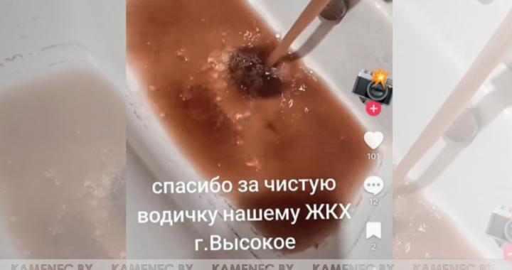 Кофе? Коньяк? Нет – просто лето в Высоком