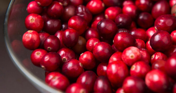 Инструктор-валеолог Каменецкой ЦРБ рассказала о пользе клюквы