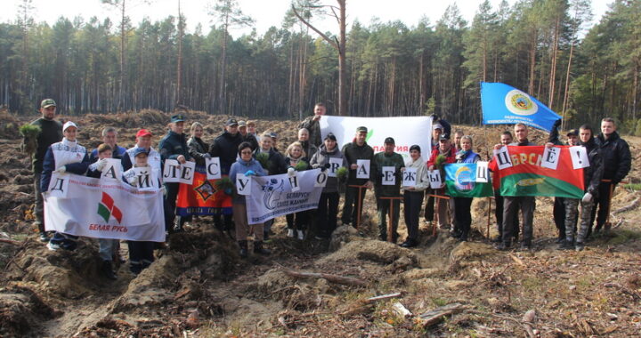 РЕСПУБЛИКАНСКАЯ АКЦИЯ “ДАЙ ЛЕСУ НОВАЕ ЖЫЦЦЁ” ПРОДОЛЖИЛАСЬ СЕГОДНЯ НА ТЕРРИТОРИИ КАМЕНЕЦКОГО РАЙОНА