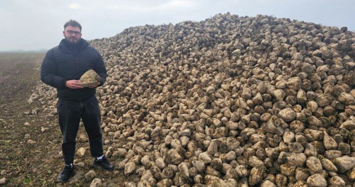 Главный агроном «Савушкиной пущи» Сергей Смурага: «Отдыхаю мыслями о работе»